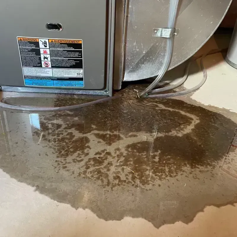 Appliance Leak Cleanup in Pembroke, NC